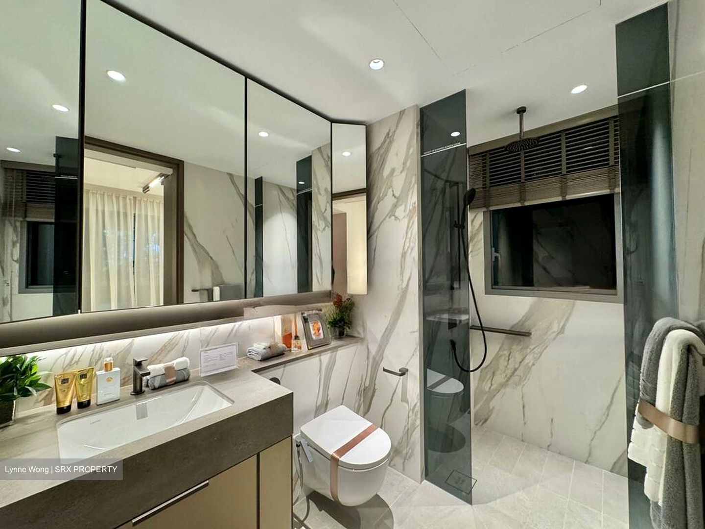 Zion Road (D3), Condominium #471672801